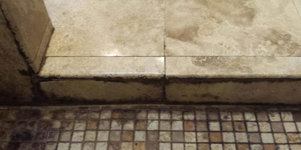 Why Do I Need My Shower Sealed