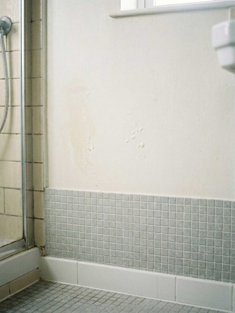 Shower repairs Buccan