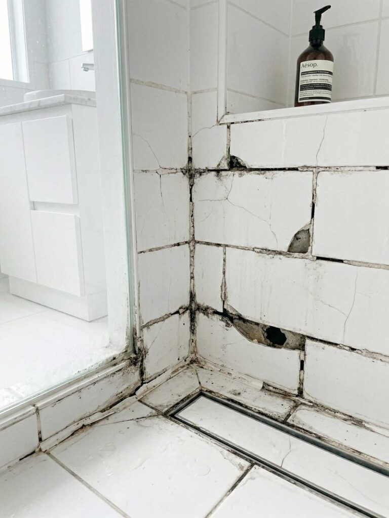 Shower repairs Indooroopilly